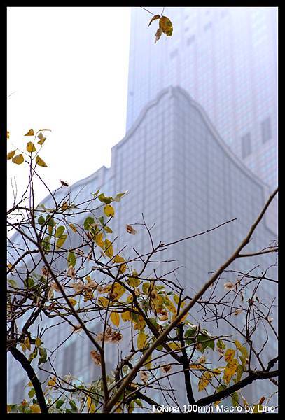 DSCF1965.jpg DSCF1965.jpg