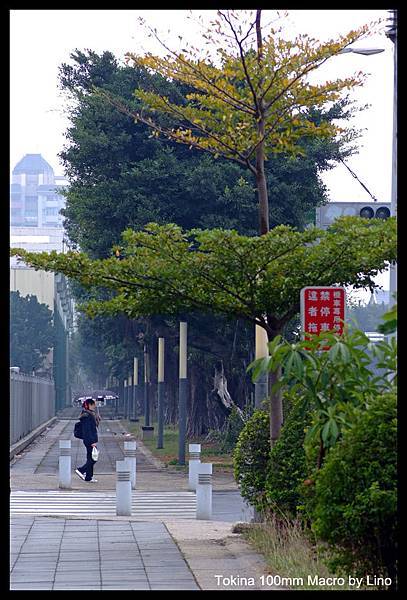 DSCF2007.jpg DSCF2007.jpg