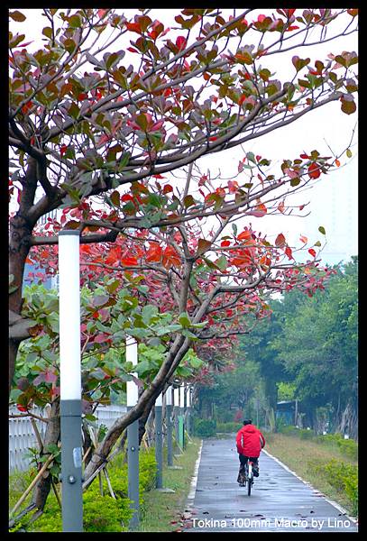 DSCF2056.jpg DSCF2056.jpg