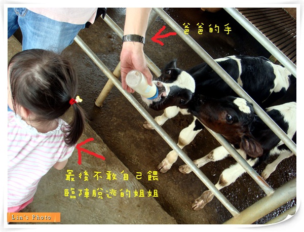 乳牛的家3.jpg 乳牛的家3.jpg