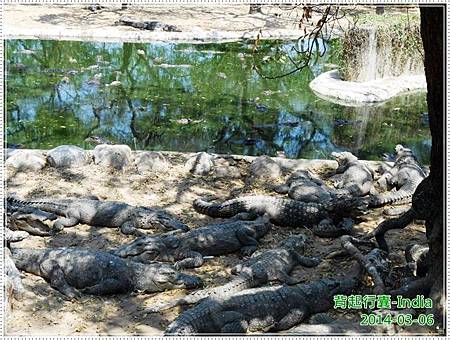 DSCN4725.JPG DSCN4725.JPG