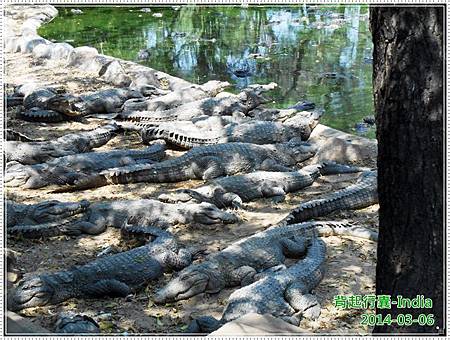 DSCN4727.JPG DSCN4727.JPG