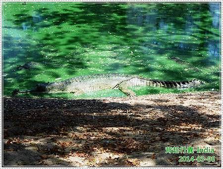 DSCN4728.JPG DSCN4728.JPG