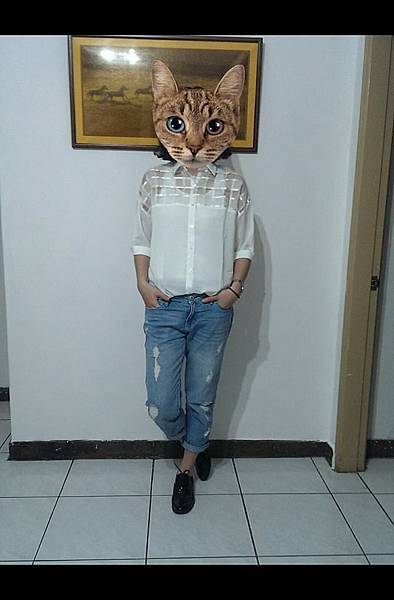 10294369_889772757706366_3637510779831331847_n 10294369_889772757706366_3637510779831331847_n