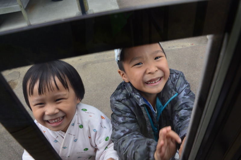 183-DSC_7582 183-DSC_7582