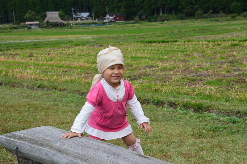 204-DSC_7722 204-DSC_7722