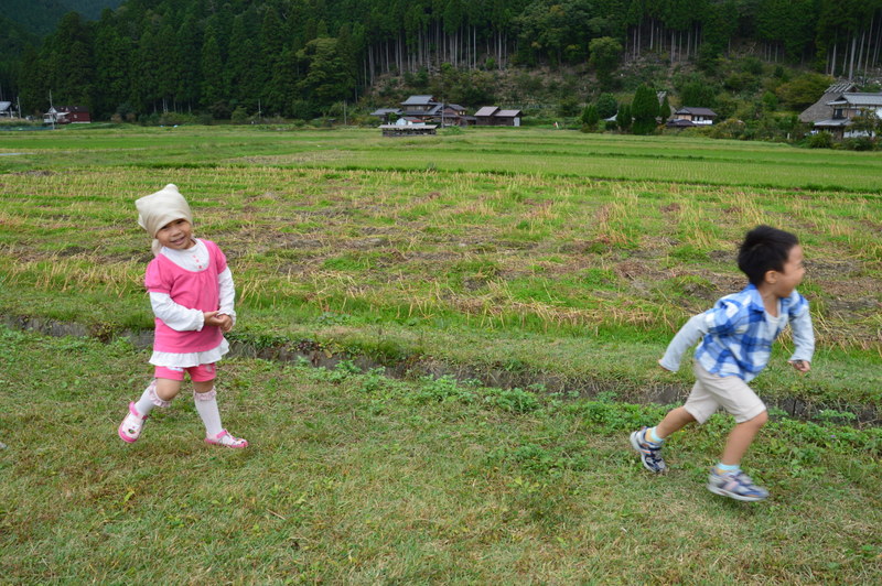 207-DSC_7737 207-DSC_7737