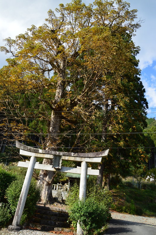 230-DSC_7886 230-DSC_7886