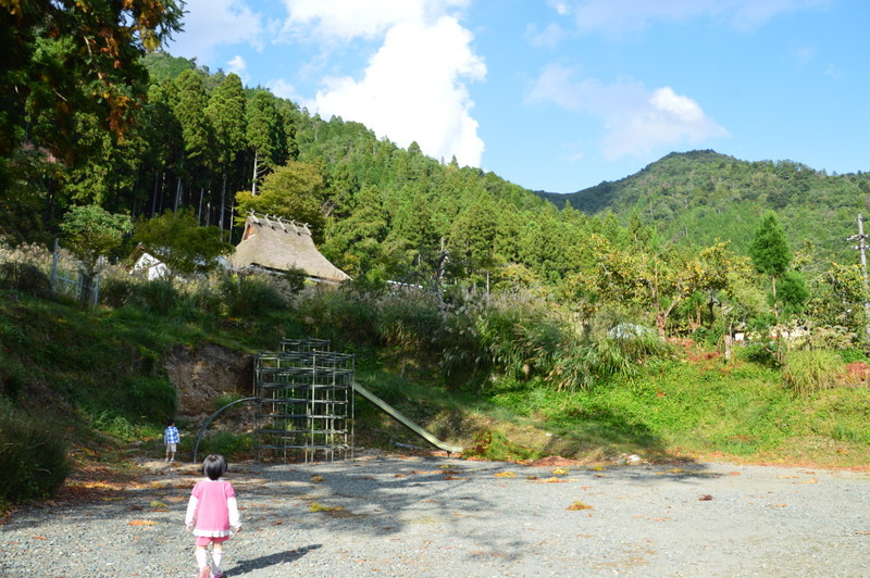 231-DSC_7891 231-DSC_7891