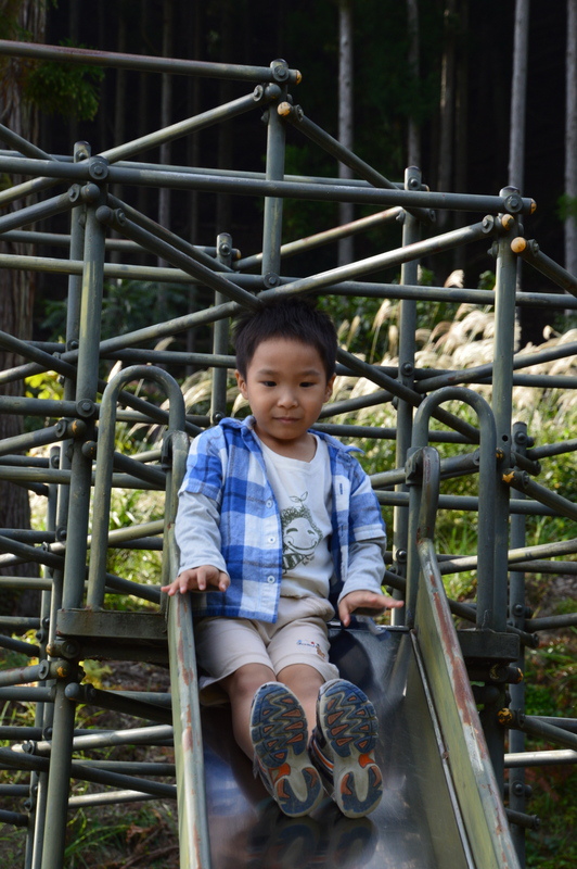 236-DSC_7919 236-DSC_7919