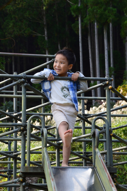 237-DSC_7932 237-DSC_7932