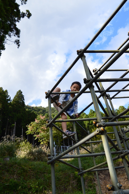 238-DSC_7962 238-DSC_7962