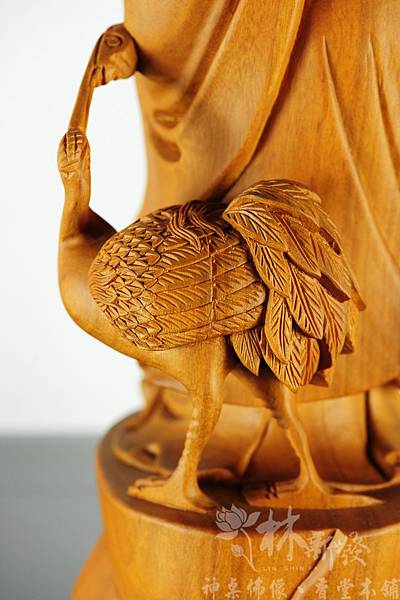 南極仙翁_010_nEO_IMG