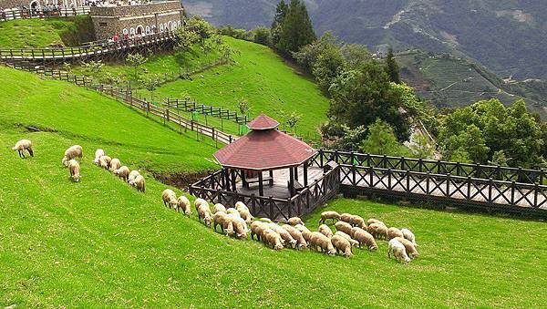 995768_689576487723443_1907464543_n