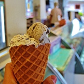 IMG_1841 (524x800).jpg