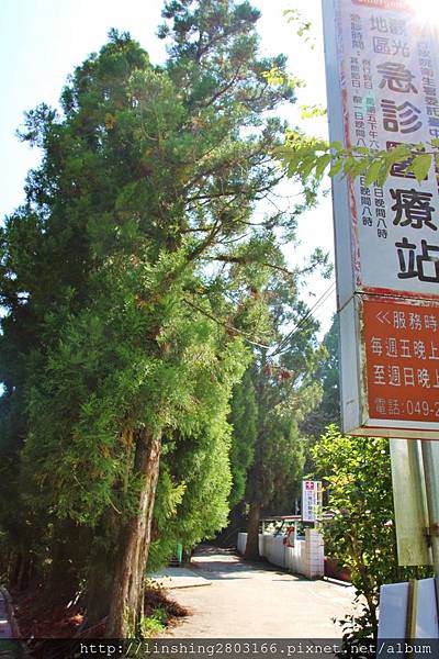 IMG_1738 (853x1280).jpg IMG_1738 (853x1280).jpg