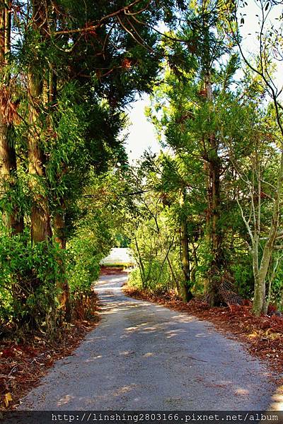 IMG_1756 (853x1280).jpg