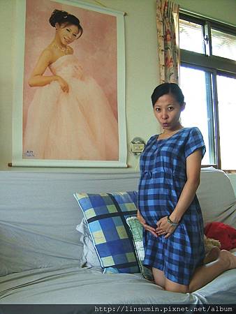 照片 008 照片 008