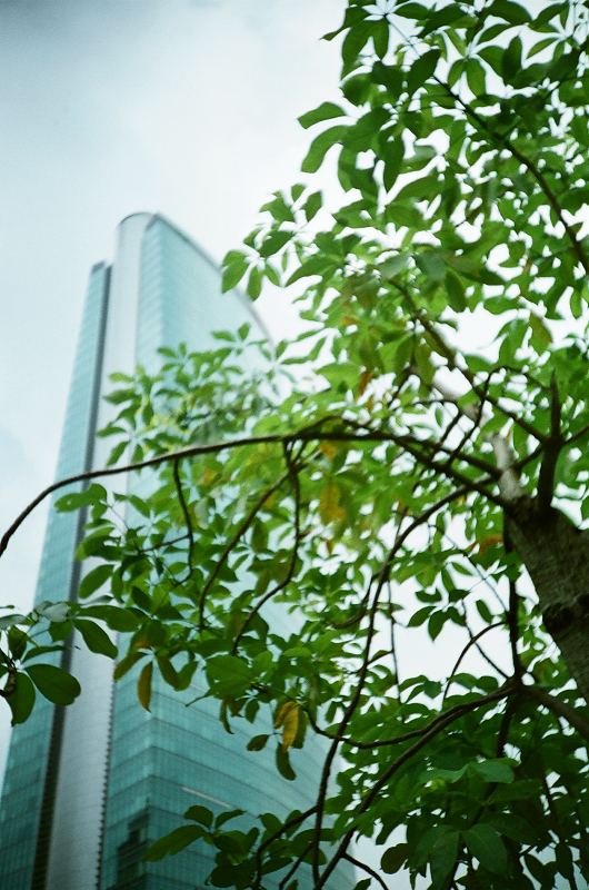 27240012.jpg 27240012.jpg