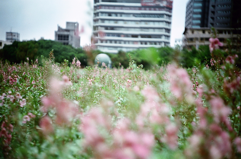 27240010.jpg 27240010.jpg