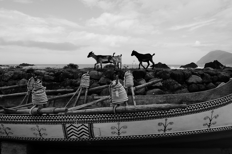 DSC_5951.jpg DSC_5951.jpg