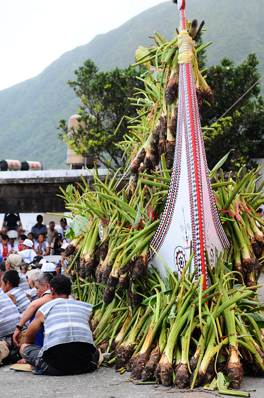 DSC_5967.jpg DSC_5967.jpg