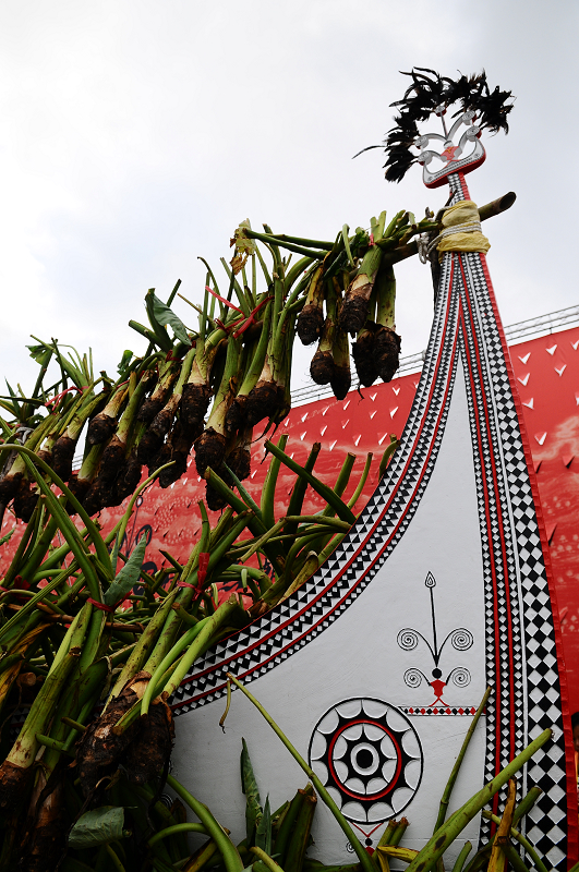 DSC_6035.jpg DSC_6035.jpg