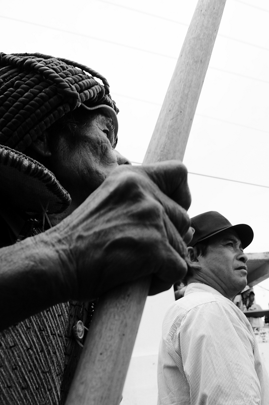 DSC_6481.jpg DSC_6481.jpg