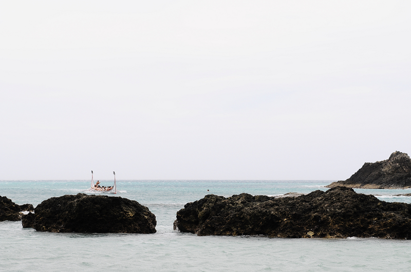 DSC_6695.jpg DSC_6695.jpg