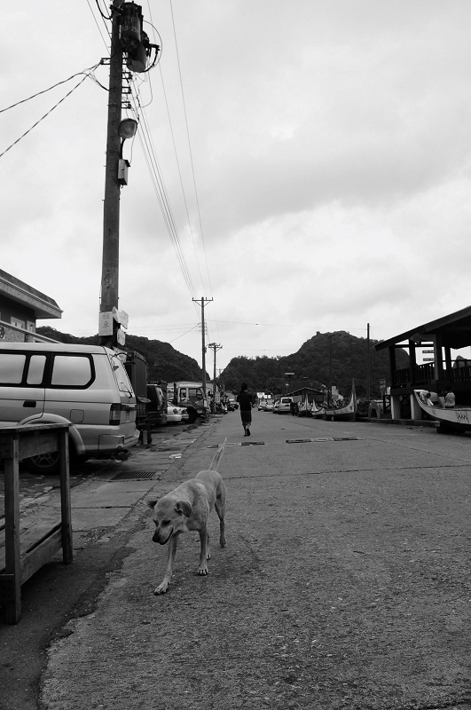 DSC_6887.jpg DSC_6887.jpg