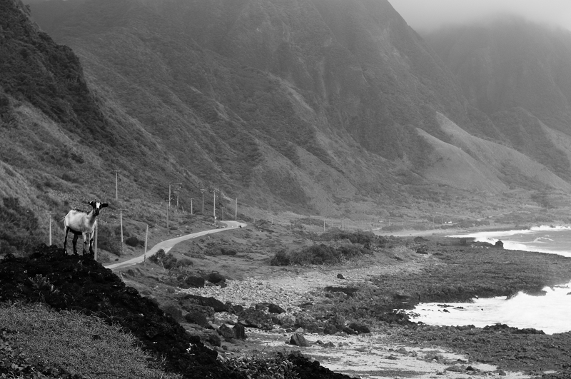 DSC_6894.jpg DSC_6894.jpg