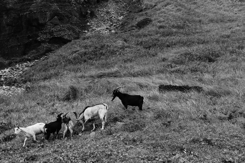 DSC_6927.jpg DSC_6927.jpg