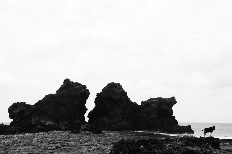 DSC_6938.jpg DSC_6938.jpg