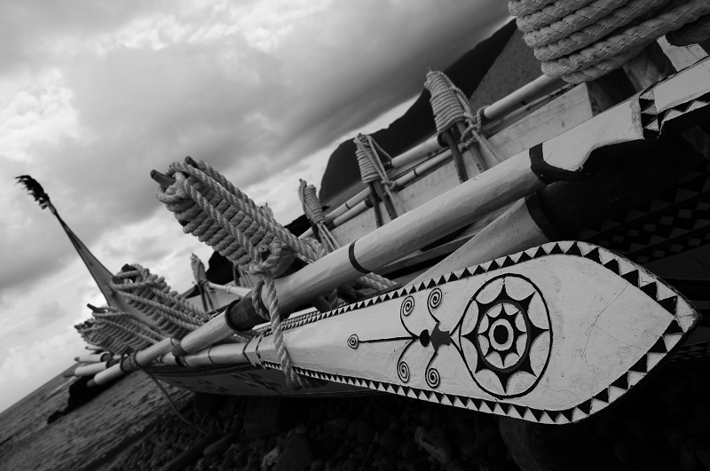 DSC_7176.jpg DSC_7176.jpg