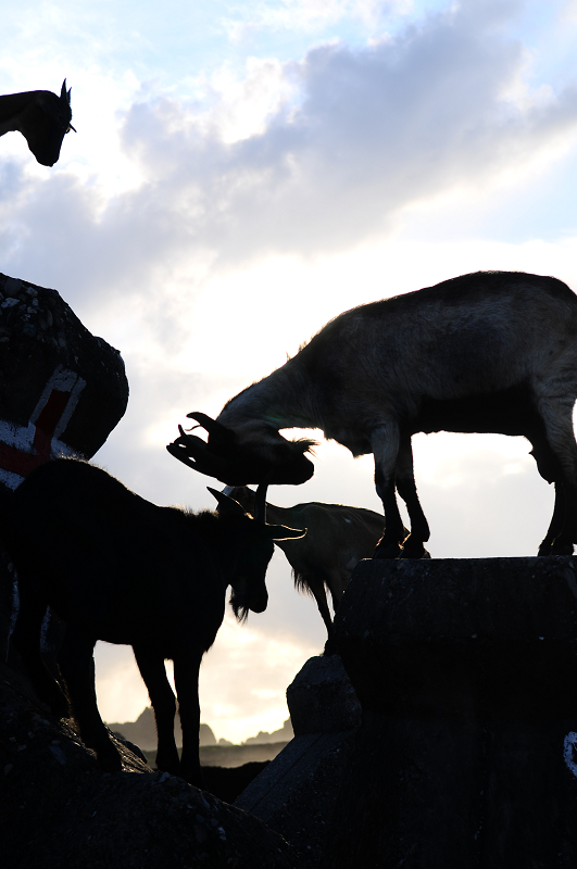 DSC_7418.jpg DSC_7418.jpg