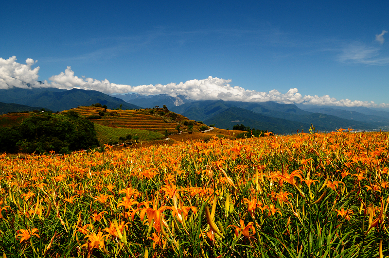 20110820六十石山_01.jpg