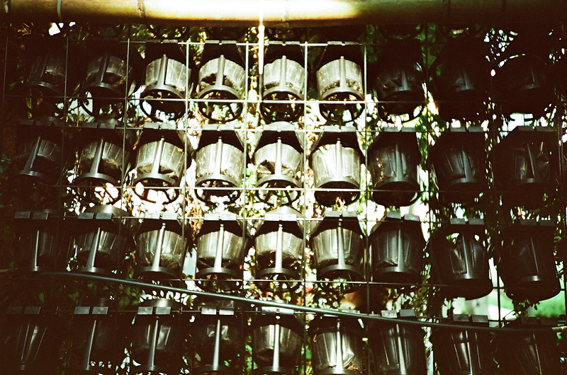 27240003.jpg 27240003.jpg