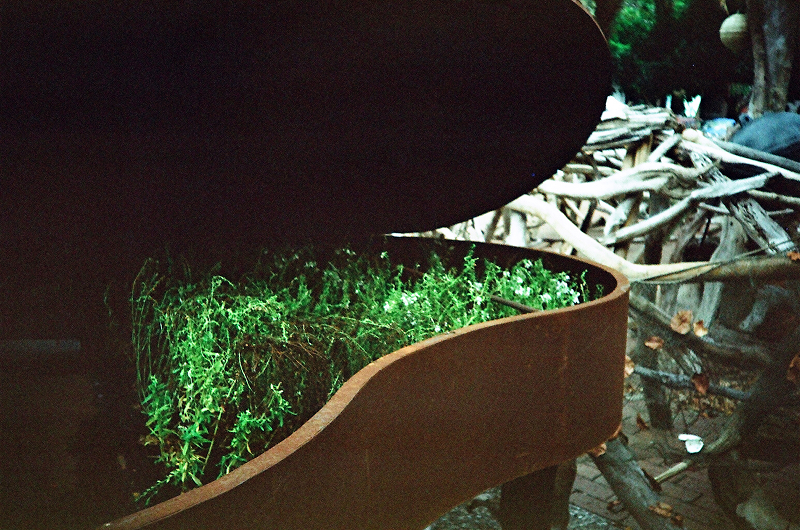 27240005.jpg 27240005.jpg