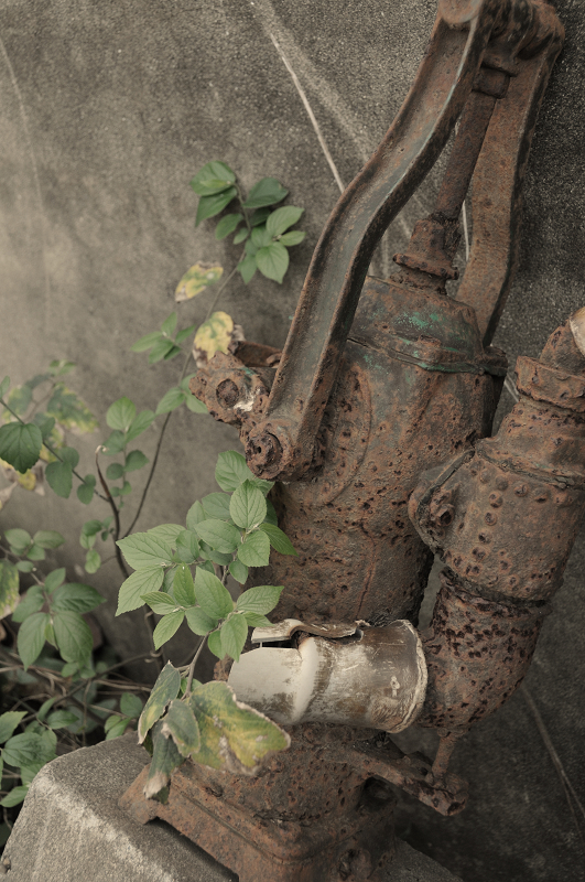 照片 161.jpg 照片 161.jpg