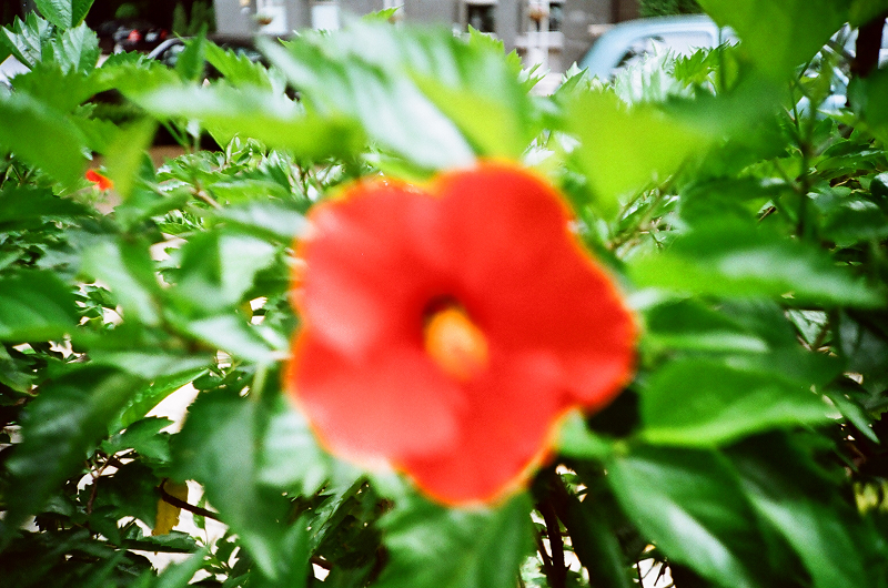 27240013.jpg 27240013.jpg