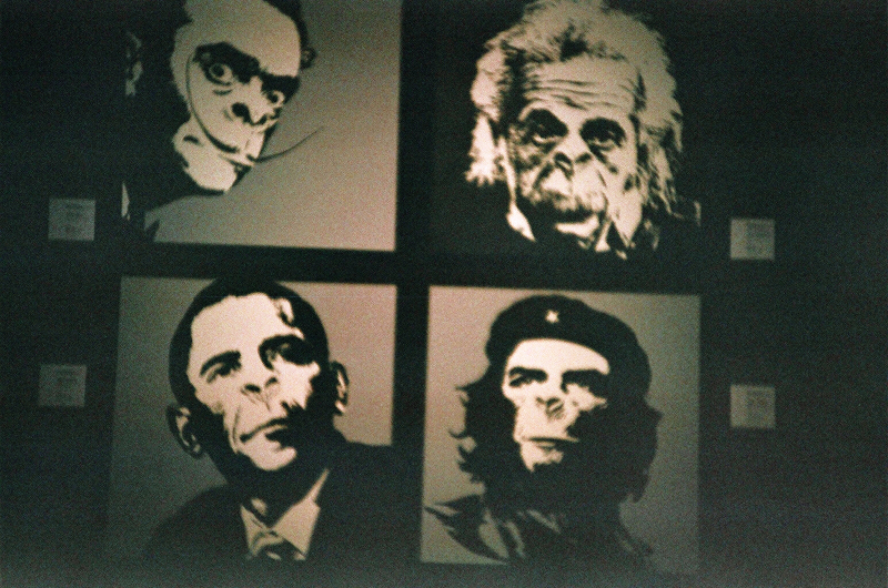 27210006.jpg 27210006.jpg