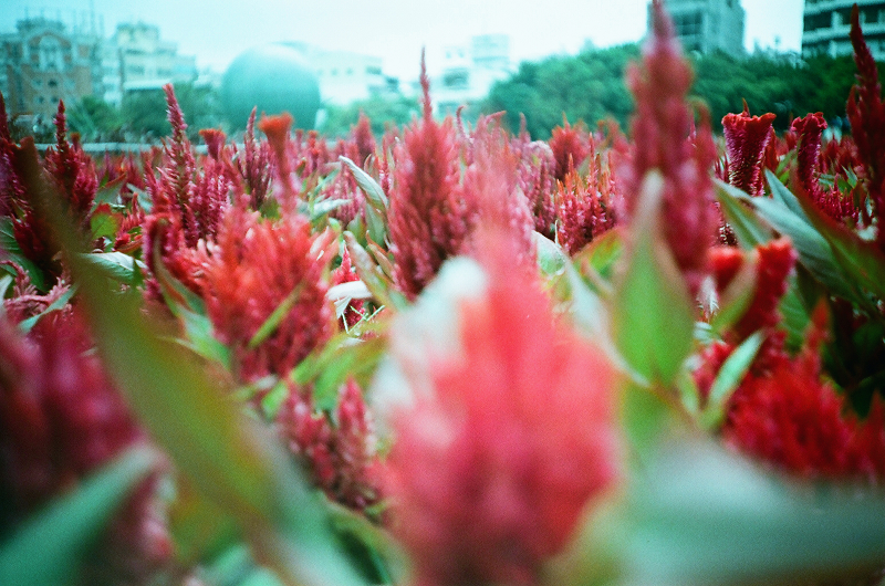 27240011.jpg 27240011.jpg