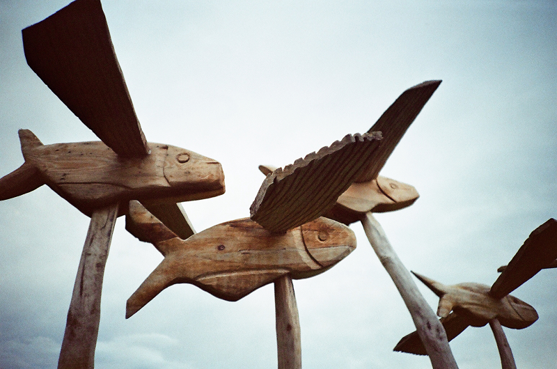 27240016.jpg 27240016.jpg