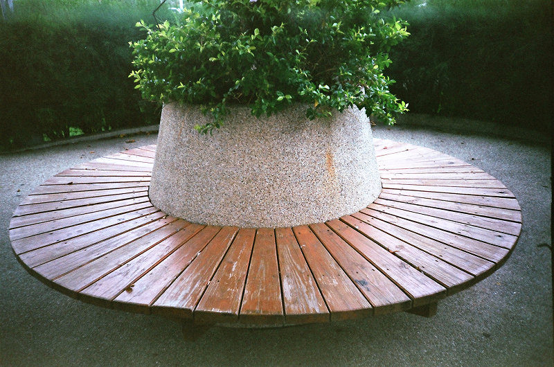 27210015.jpg 27210015.jpg