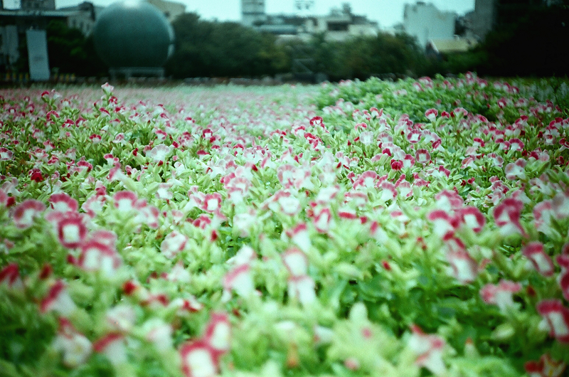 27240009.jpg 27240009.jpg