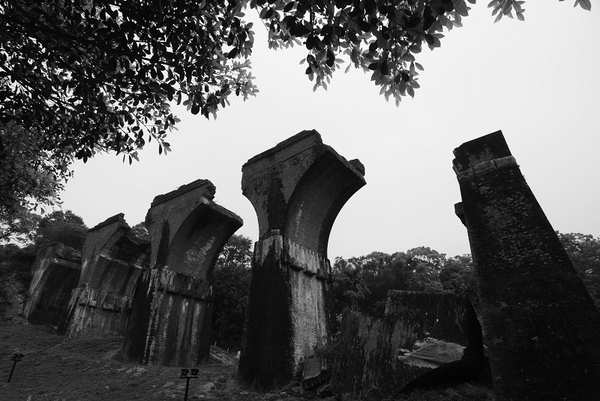 DSC_3667.jpg DSC_3667.jpg