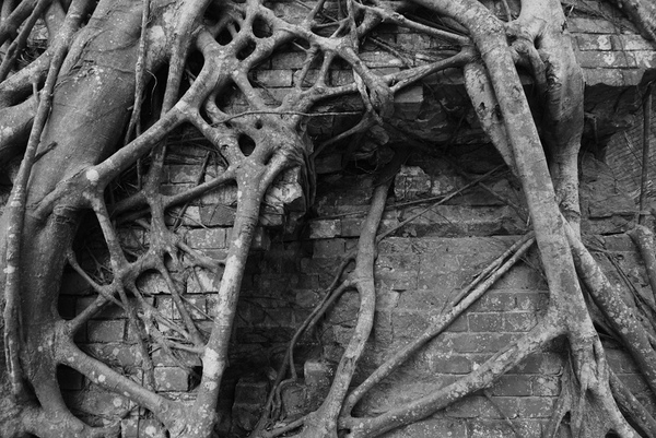 DSC_3702.jpg DSC_3702.jpg