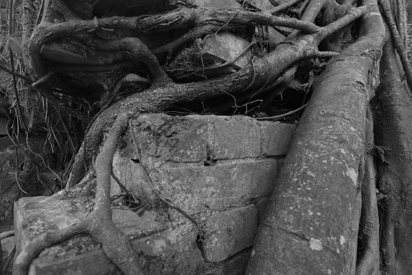 DSC_3709.jpg DSC_3709.jpg