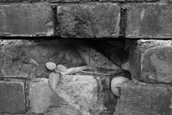 DSC_3712.jpg DSC_3712.jpg