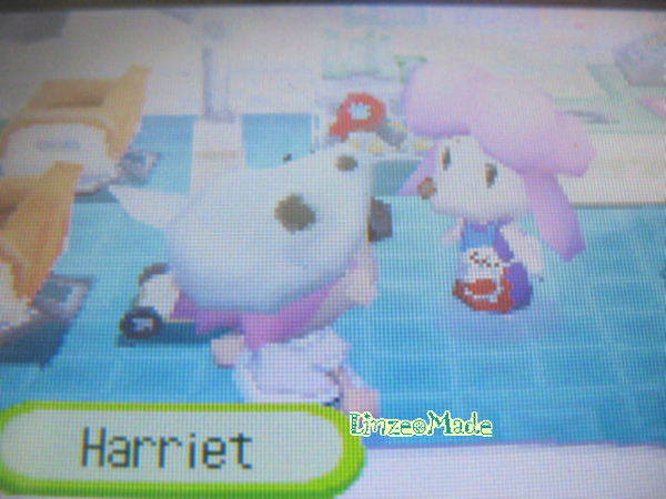 動森_Harriet太太